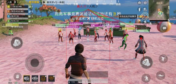和平精英透视辅助怎么开启（和平精英透视科技怎么开启）